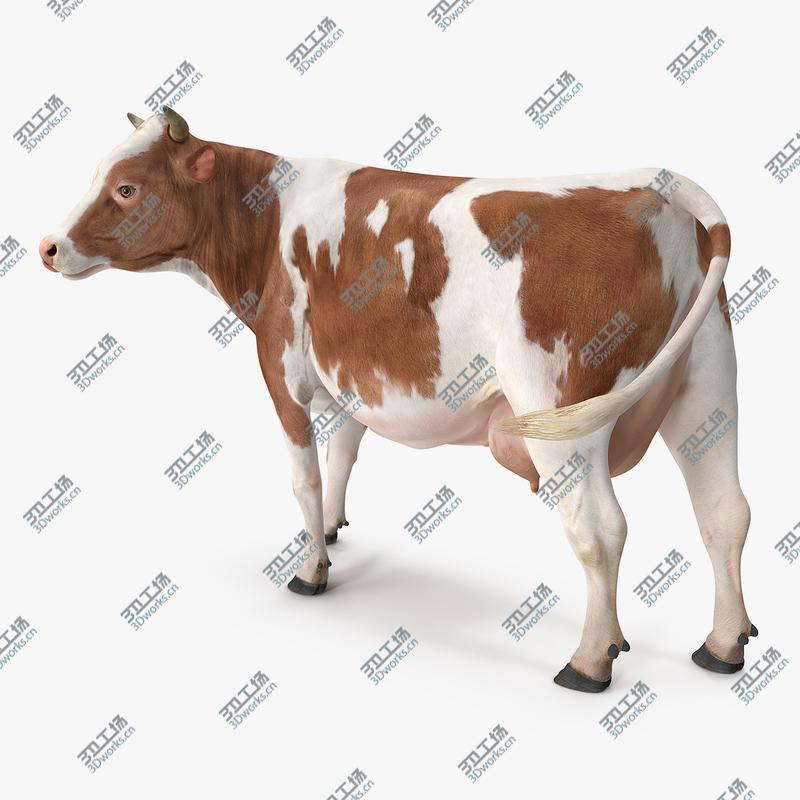 images/goods_img/202104092/3D model Red and White Cow/1.jpg
